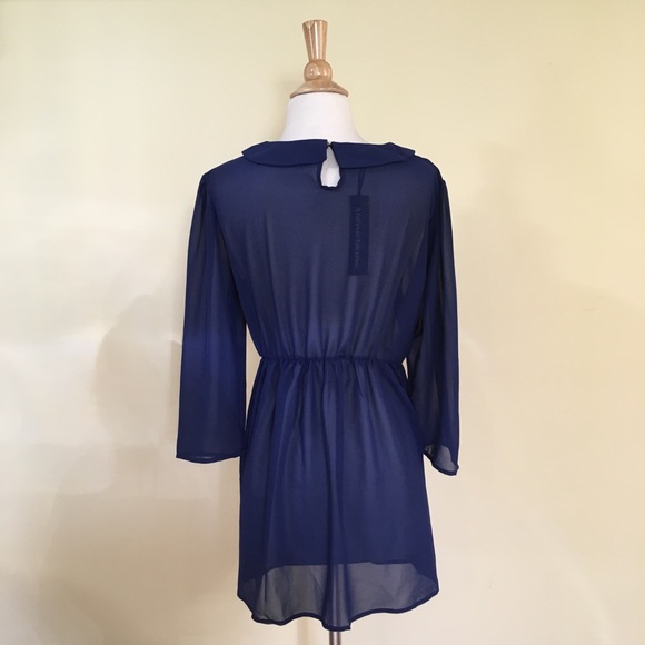 Sheer Chiffon Peter Pan Collar Dress - Picture 3 of 3